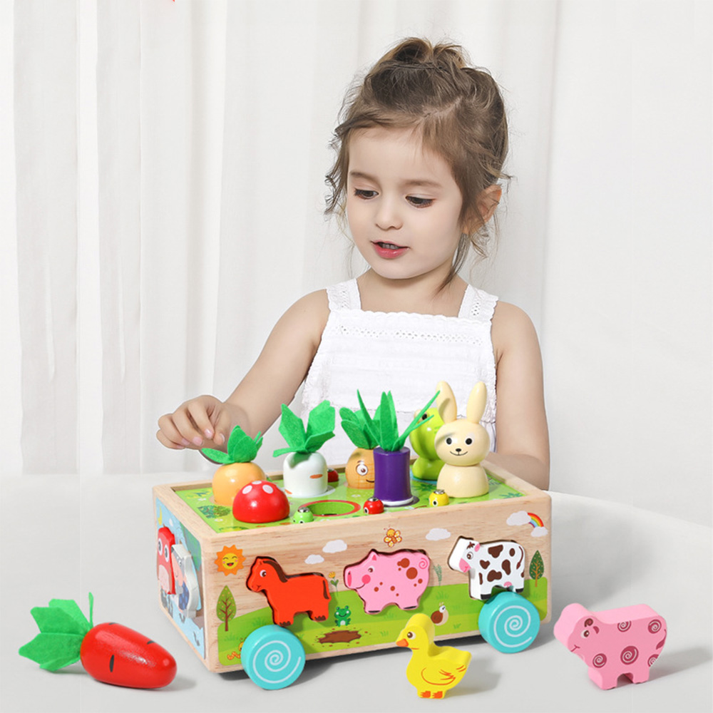 Wooden Shape Assortment Matchi - đánh giá và giá Kids Education Number